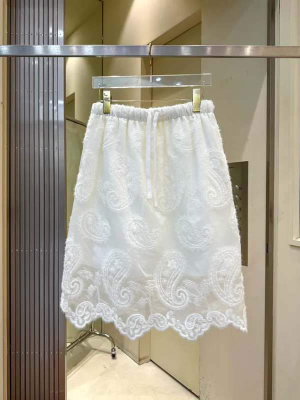 Elegant Lace Embroidered Dress for Women, A Summer Essential