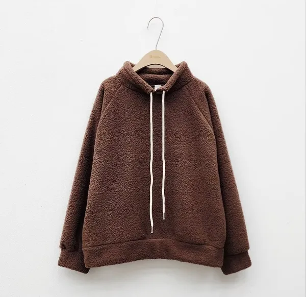 Warm and Cozy Brown Plush Hooded Sweatshirt