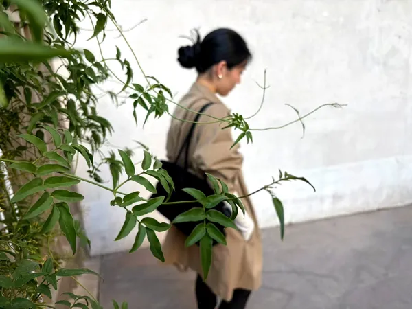 Stylish Minimalist Women's Coat - A Must-Have for Elegance