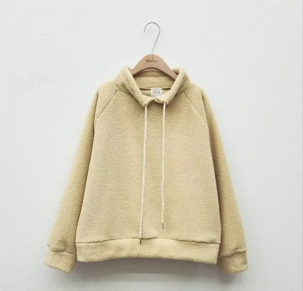 Warm and Cozy Plush Hoodie