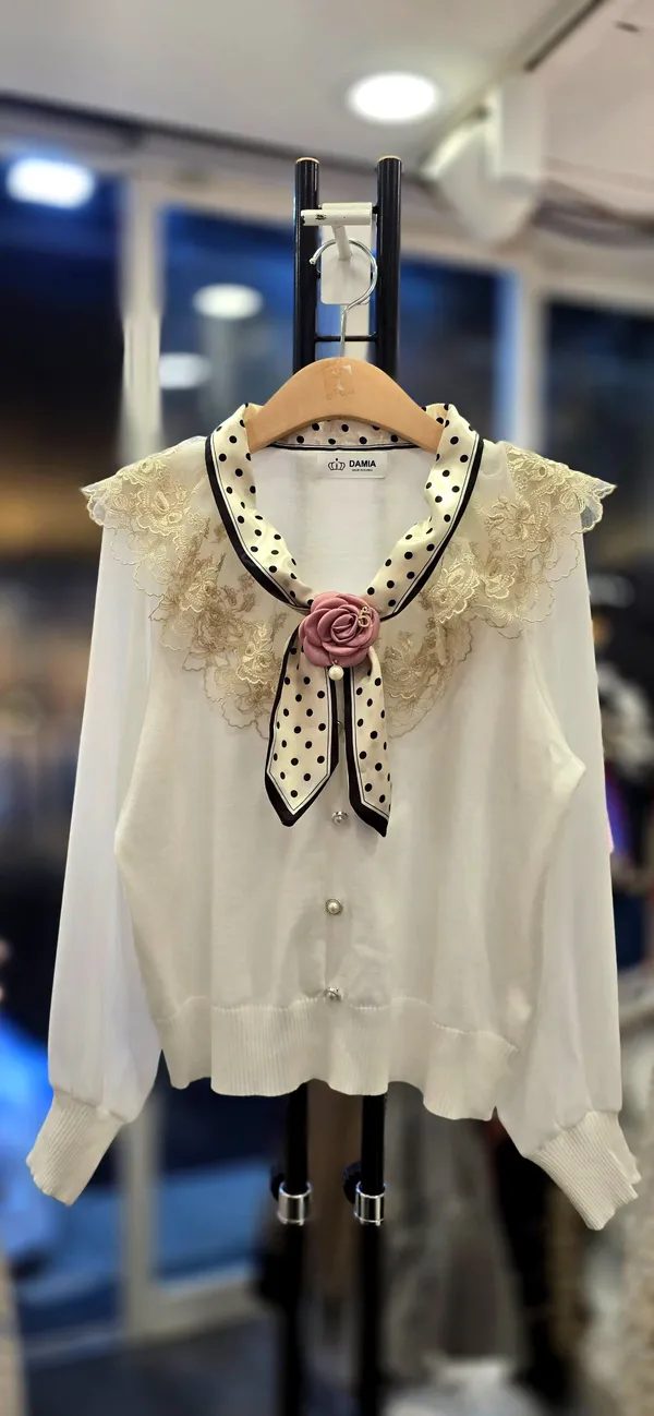 Elegant Lace Collar Women's Top - Sweet and Charming Style