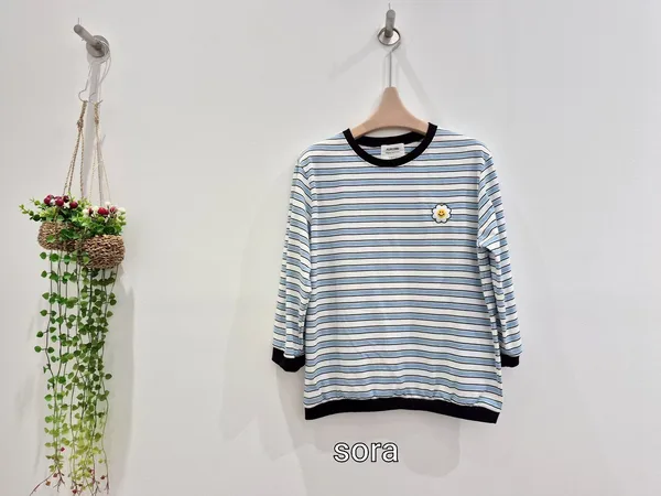 Striped Floral Embroidered Long Sleeve Top