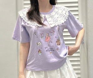 Cute Embroidered Lace Collar Short Sleeve T-Shirt