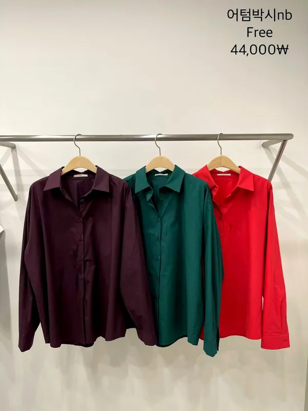 Stylish and Minimalist Women's Shirt, Perfect for Various Occasions