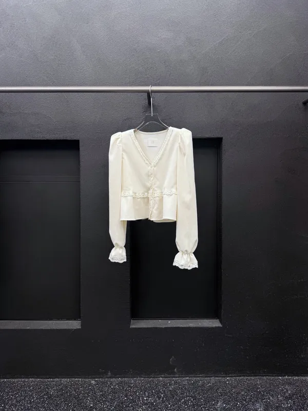 Elegant V-Neck Lace Trim Long Sleeve Top