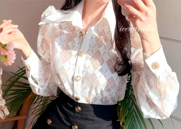Fashion Sheer Lace Women's Top, Elegant Charm